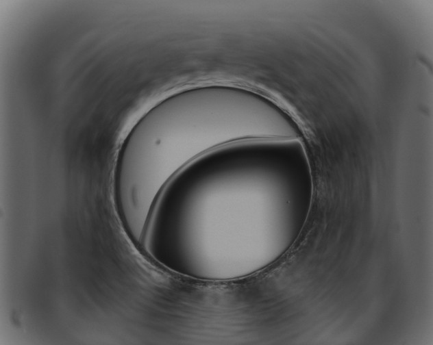 X0000094961512200711291116