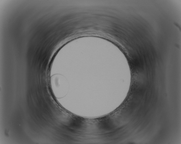 X0000094961514200711291116