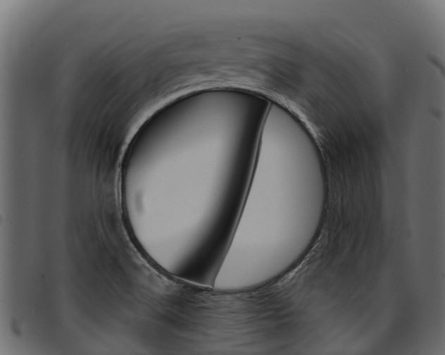X0000094961516200711291116