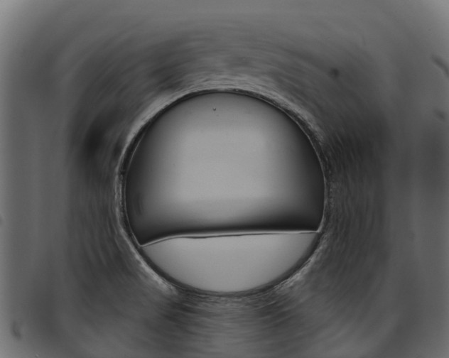 X0000094961517200711291116
