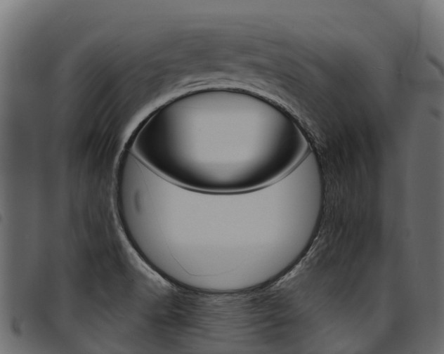 X0000094961518200711291116