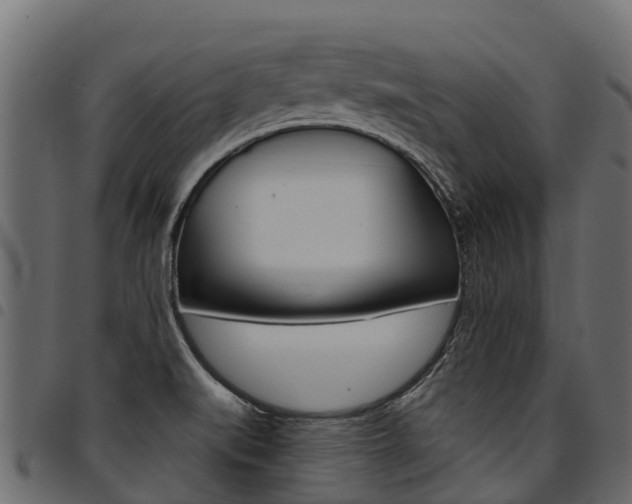 X0000094961519200711291116