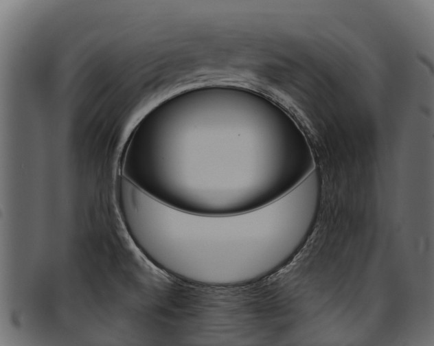 X0000094961520200711291116