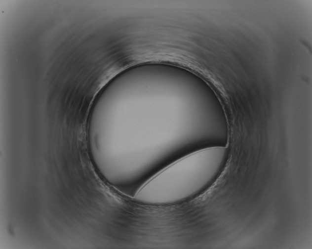 X0000094961521200711291116