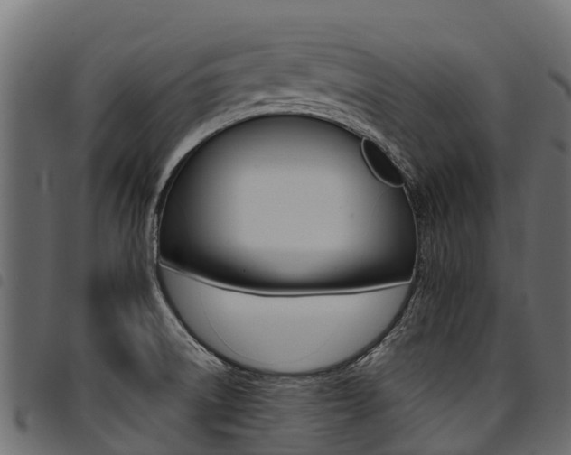 X0000094961522200711291116