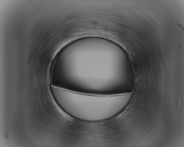 X0000094961523200711291116