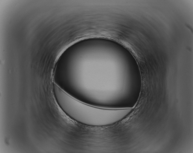 X0000094961524200711291116