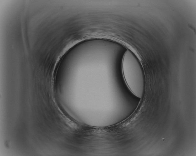 X0000094961525200711291116