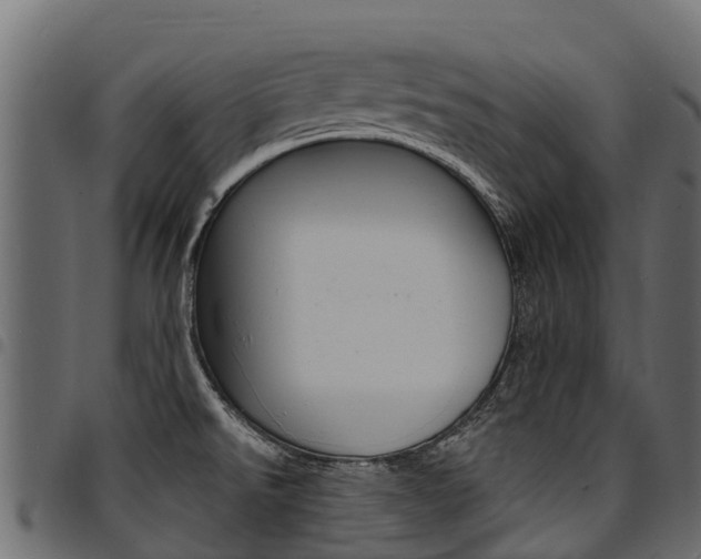 X0000094961526200711291116