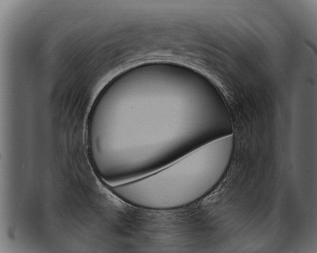 X0000094961527200711291116