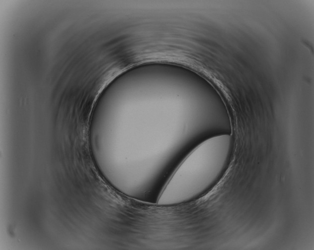 X0000094961529200711291116