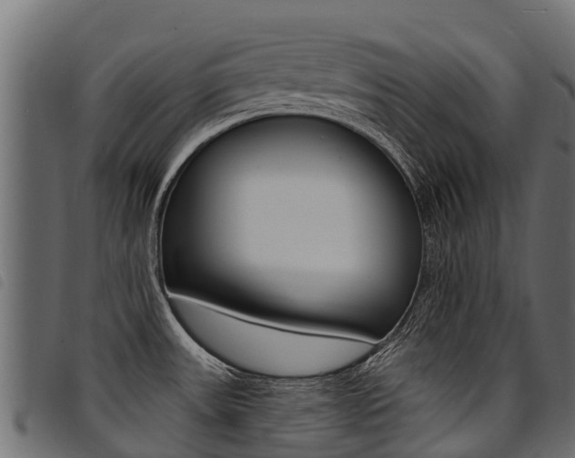 X0000094961531200711291116