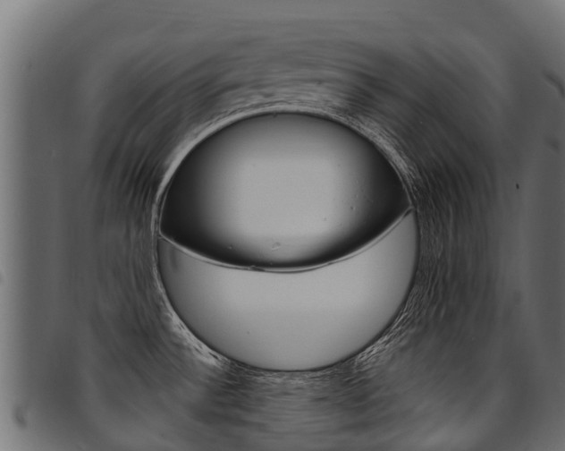 X0000094961532200711291116