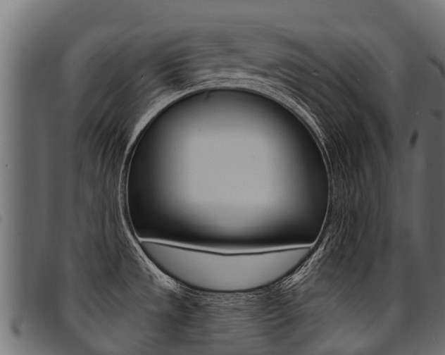 X0000094961533200711291116