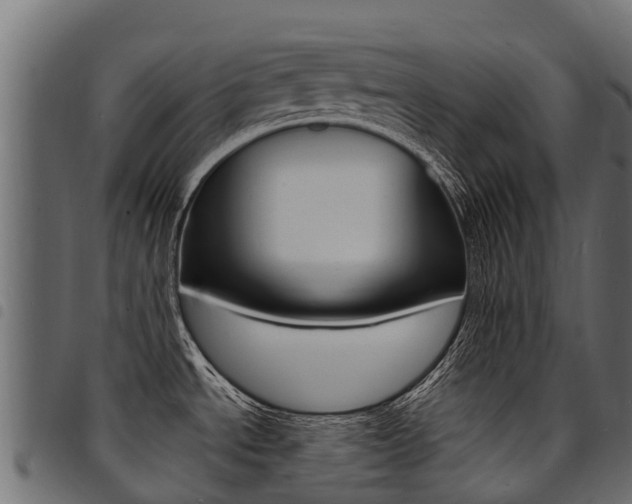 X0000094961534200711291116