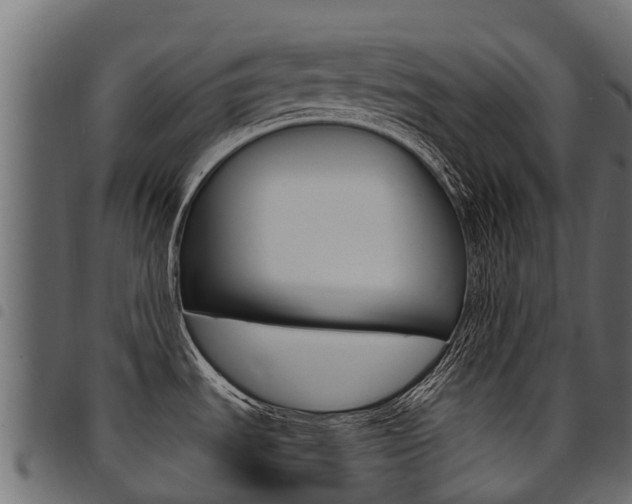 X0000094961535200711291116