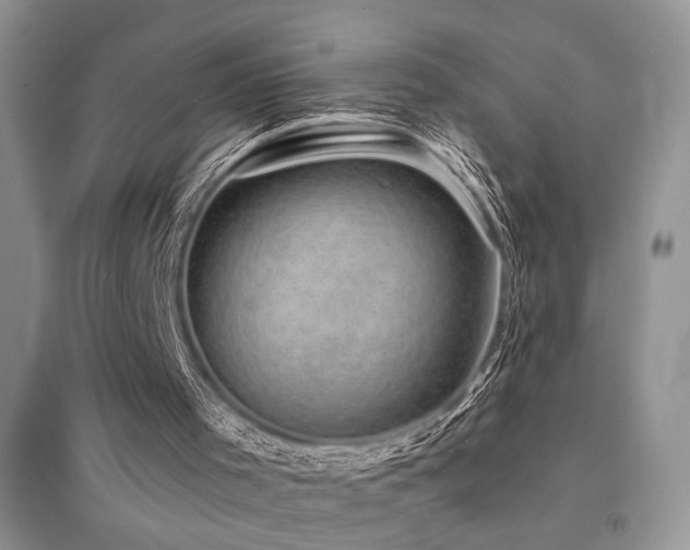 X0000094960001200711291451