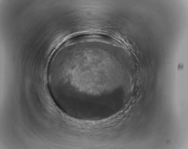 X0000094960002200711291451