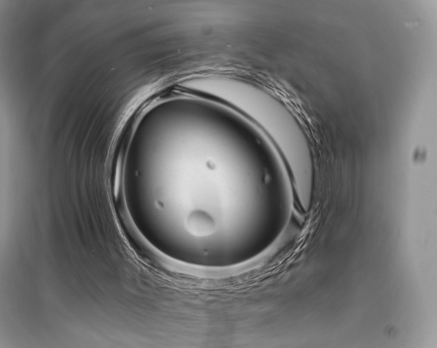 X0000094960003200711291451