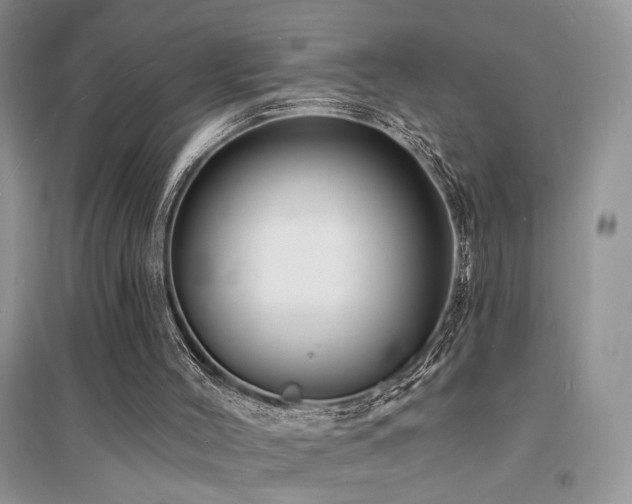 X0000094960004200711291451