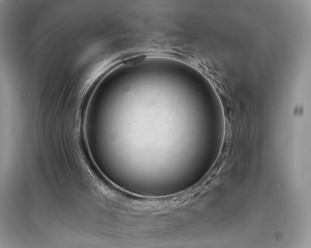 X0000094960005200711291451