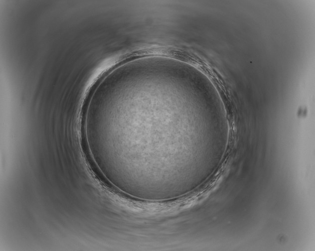 X0000094960006200711291451