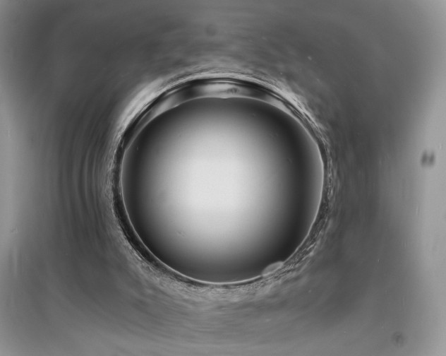 X0000094960007200711291451