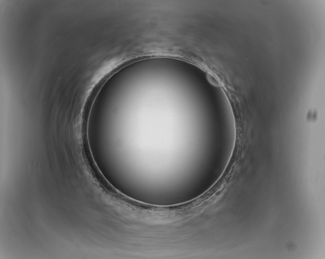 X0000094960008200711291451