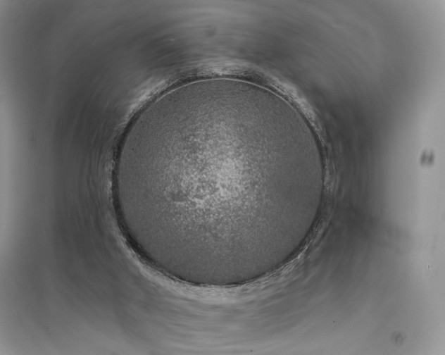 X0000094960010200711291451