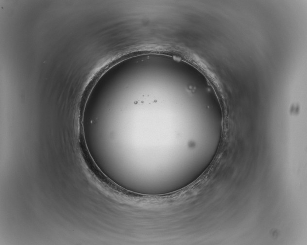 X0000094960011200711291451