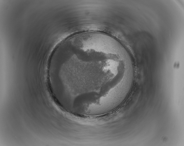 X0000094960012200711291451