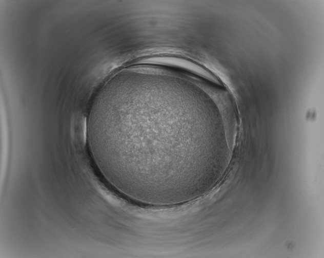 X0000094960013200711291451