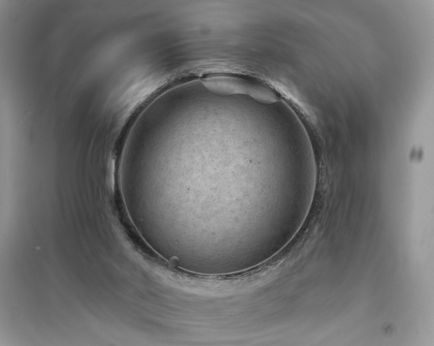 X0000094960014200711291451