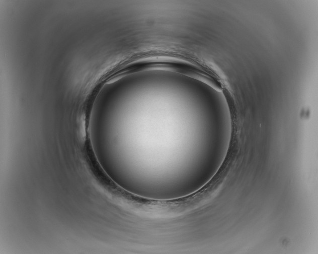 X0000094960020200711291451