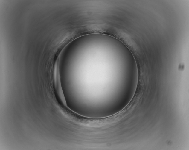 X0000094960021200711291451