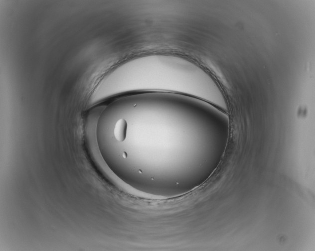 X0000094960023200711291451