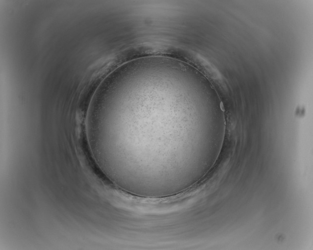 X0000094960026200711291451