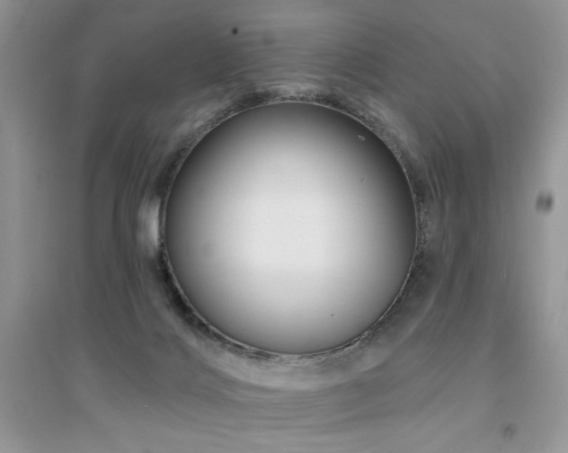 X0000094960028200711291451