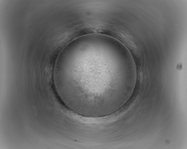 X0000094960030200711291451