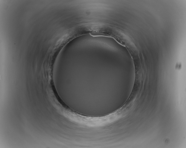 X0000094960031200711291451