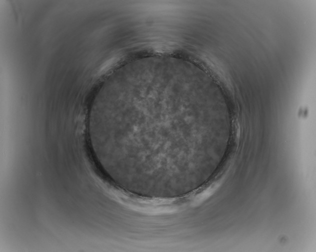 X0000094960032200711291451