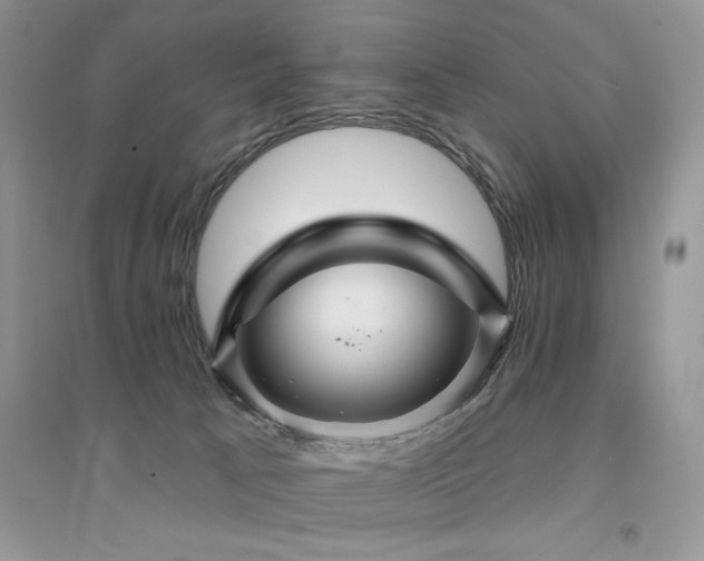 X0000094960033200711291451