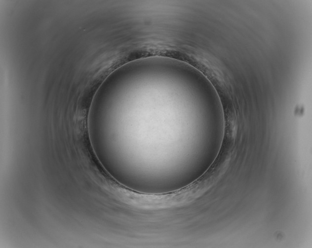 X0000094960034200711291451