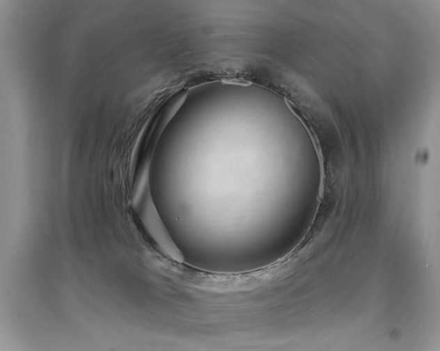 X0000094960037200711291451