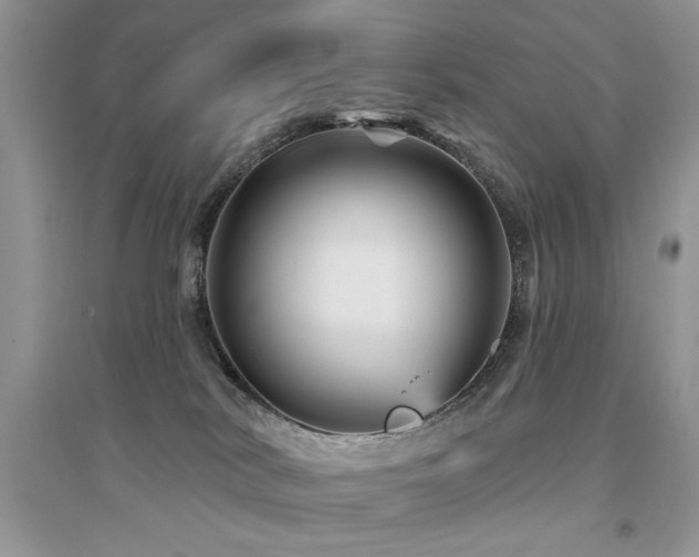 X0000094960038200711291451