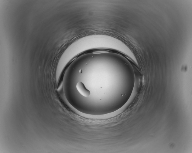 X0000094960039200711291451