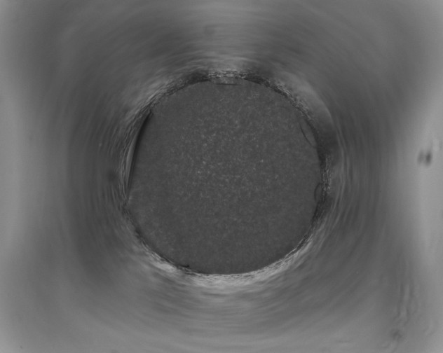 X0000094960041200711291450