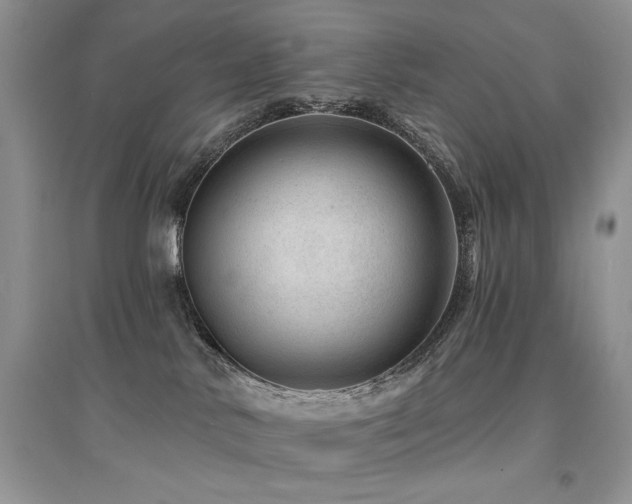 X0000094960042200711291450