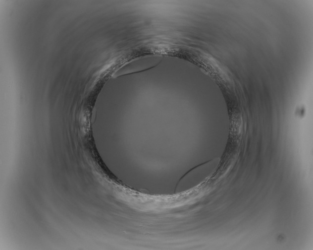 X0000094960043200711291450