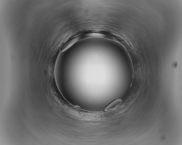 X0000094960044200711291450